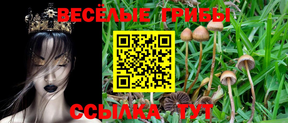 Галлюциногенные грибы MAGIC MUSHROOMS Усинск