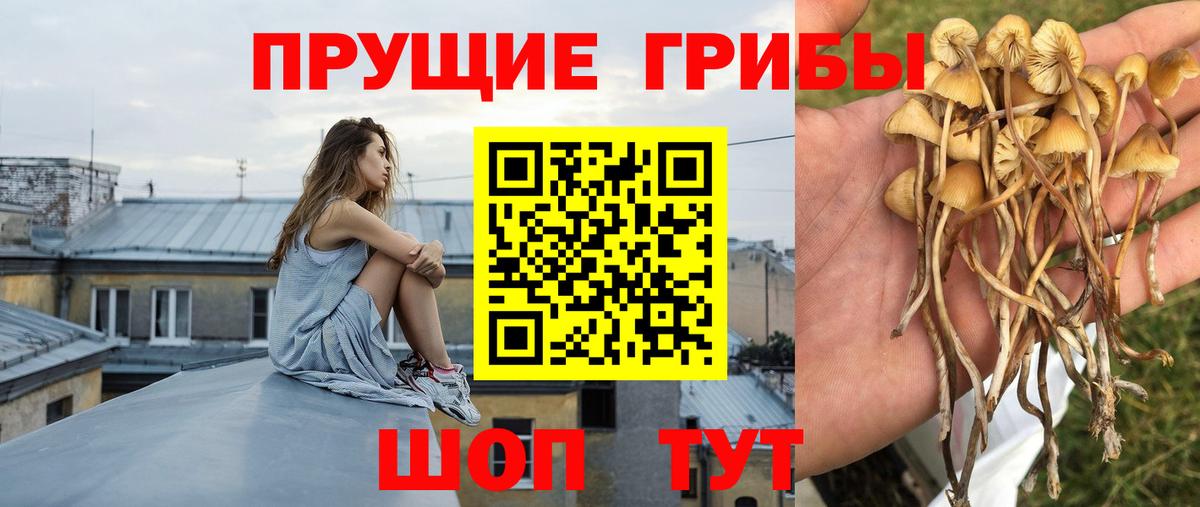 Галлюциногенные грибы MAGIC MUSHROOMS  Псилоцибиновые грибы Cubensis  Усинск  Вход с VPN 